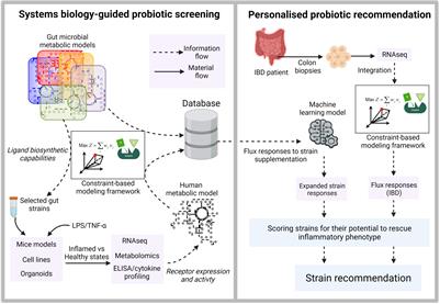 Systems Biology of Gut Microbiota-Human Receptor Interactions: Toward Anti-inflammatory Probiotics